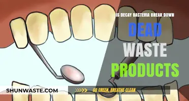 How Decay Bacteria Efficiently Break Down Dead Organic Waste Products