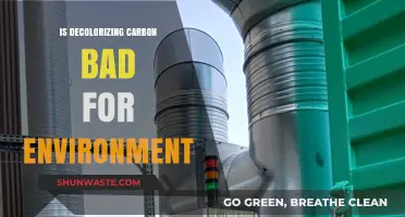 Is Decolorizing Carbon Harming Our Environment? A Critical Analysis