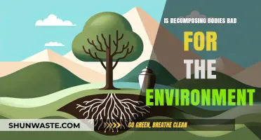 Decomposing Bodies: Environmental Impact and Sustainable Burial Practices