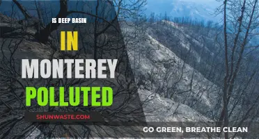 Deep Basin, Monterey: A Polluted Paradise?