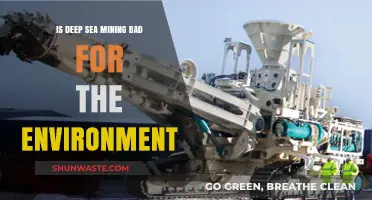 Deep Sea Mining: Environmental Impact and Sustainable Alternatives Explored