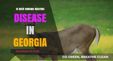 Chronic Wasting Disease in Georgia: Threat to Deer Population?
