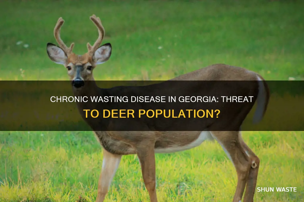 is deer chronic wasting disease in georgia