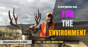 Deer Hunting's Environmental Impact: Balancing Conservation and Ecosystem Health