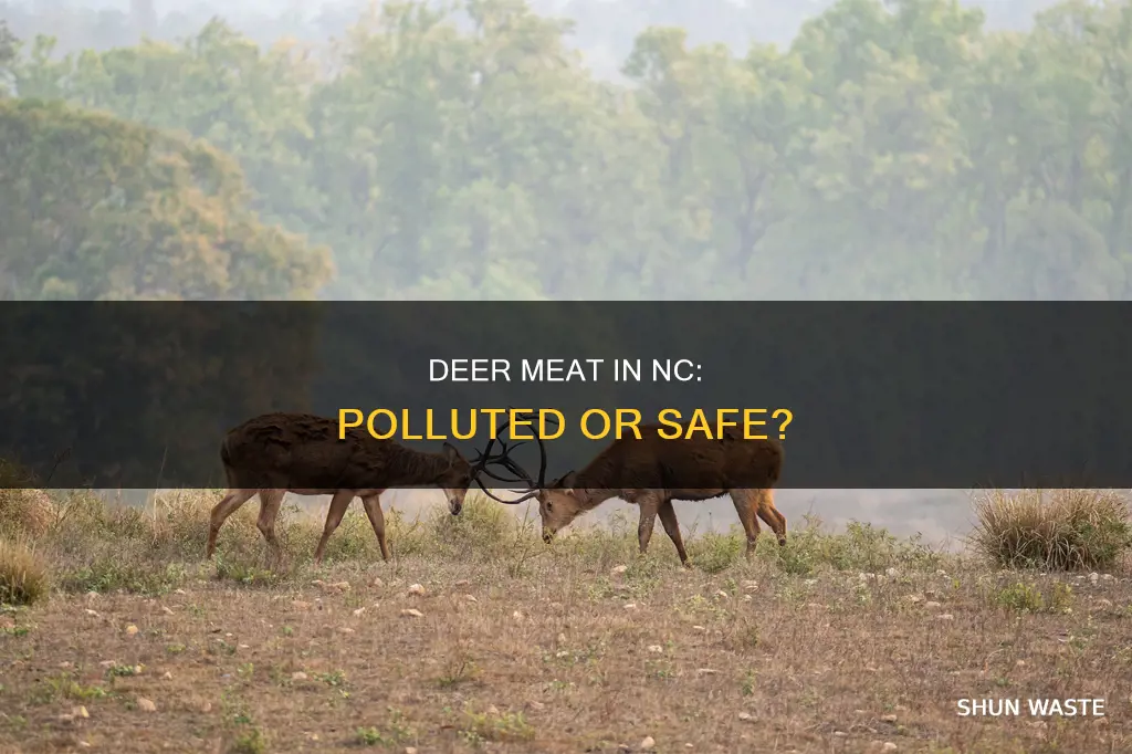 is deer meat polluted in nc