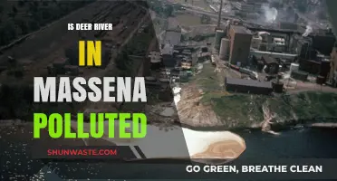 Is Deer River Polluted? Massena's Troubled Waters