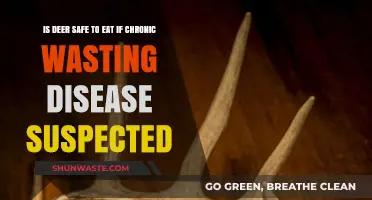 Chronic Wasting Disease: Is Deer Meat Safe for Consumption?