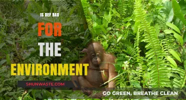 Is Deforestation Harming Our Planet? Environmental Impact Explored