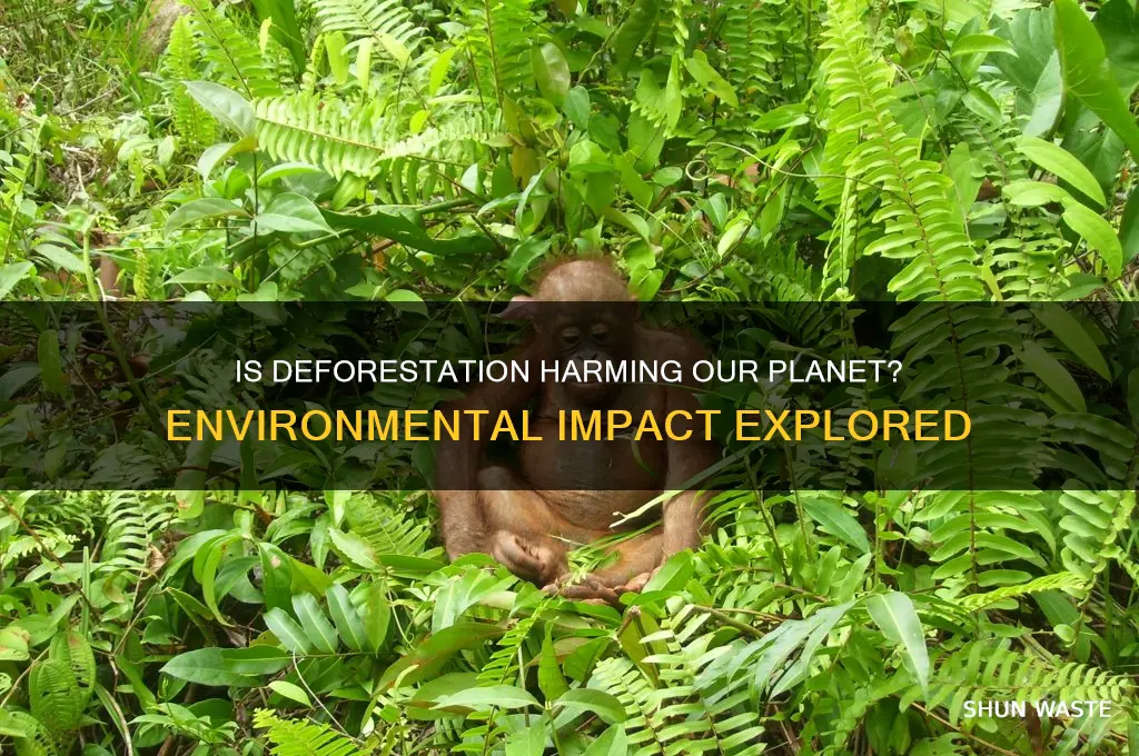 is def bad for the environment