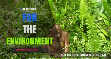 Is Deforestation Beneficial or Detrimental to Our Environment?