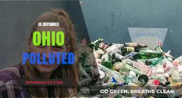 Defiance, Ohio: A Polluted Town?
