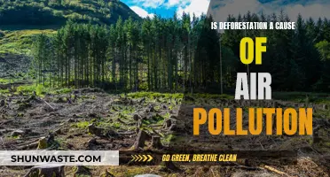 Deforestation's Impact: Unveiling the Hidden Air Pollution Crisis