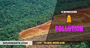 Deforestation and Pollution: The Interconnected Environmental Crisis
