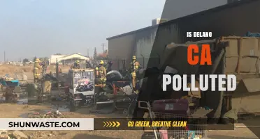 Delano, CA: A Polluted City?