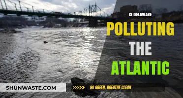 Delaware's Pollution Problem: Impacting the Atlantic Ocean