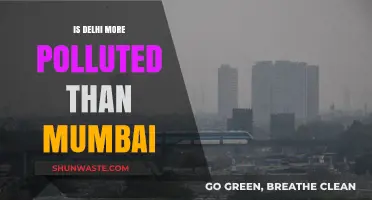 Air Quality Face-Off: Delhi vs. Mumbai