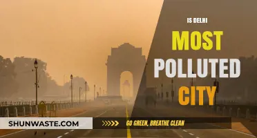 Delhi's Air: Most Polluted City?
