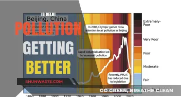 Delhi's Pollution: Is the Capital Breathing Easier?