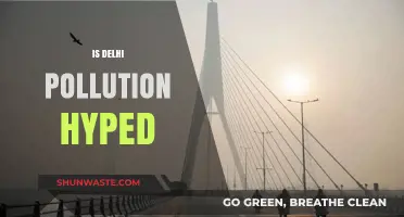 Delhi's Pollution Crisis: Is It Over-Exaggerated?