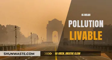 Delhi's Pollution: Is it Livable?