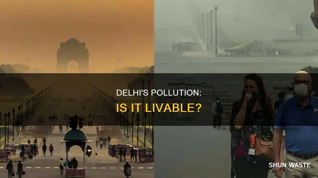 is delhi pollution livable