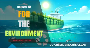 Delivery's Environmental Impact: Sustainable Solutions for Eco-Friendly Shipping