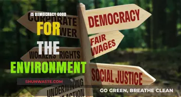 Democracy's Green Impact: Balancing Environmental Policies and Public Interests