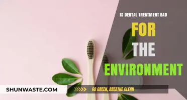 Eco-Friendly Dentistry: Uncovering the Environmental Impact of Dental Treatments