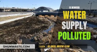 Denver's Water Crisis: Unveiling the Truth About Pollution