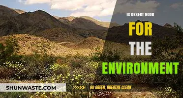 Desert Ecosystems: Environmental Benefits and Misconceptions Explored