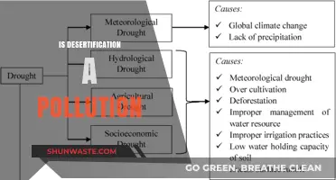 How Desertification Pollutes Our Planet