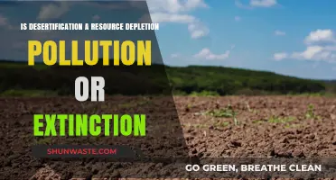 How Desertification Impacts Our Resources and Wildlife