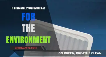 Disposable Tupperware: Environmental Impact and Sustainable Alternatives Explored