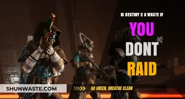 Destiny 2 Without Raids: A Waste or Worthwhile Experience?