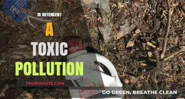 Detergent: Toxic Pollution or Safe Cleaning?