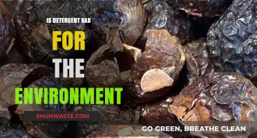 Detergent's Environmental Impact: Harmful Effects and Sustainable Alternatives