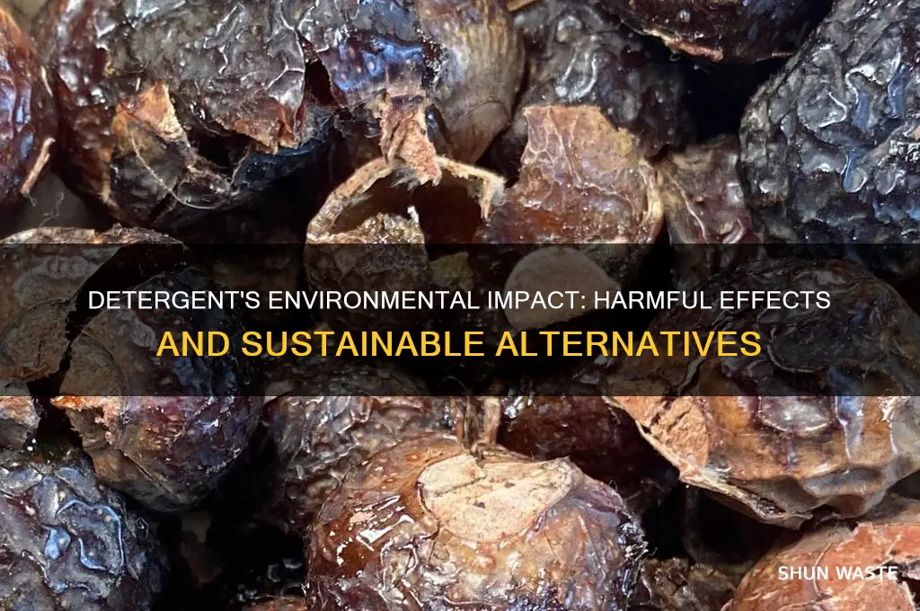is detergent bad for the environment