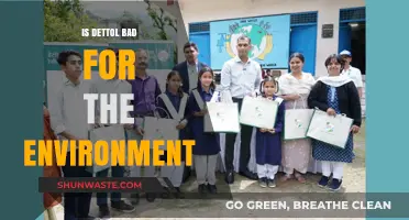 Is Dettol Eco-Friendly? Environmental Impact of Dettol Explained