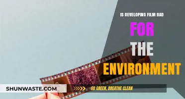 Developing Film's Environmental Impact: Sustainable Alternatives and Eco-Friendly Practices