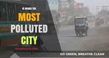 Dhaka: The World's Pollution Capital?