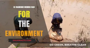 Diamond Mining's Environmental Impact: Uncovering the Hidden Costs