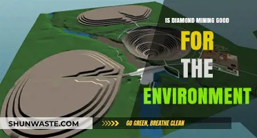 Diamond Mining's Environmental Impact: Sustainable Practice or Ecological Disaster?