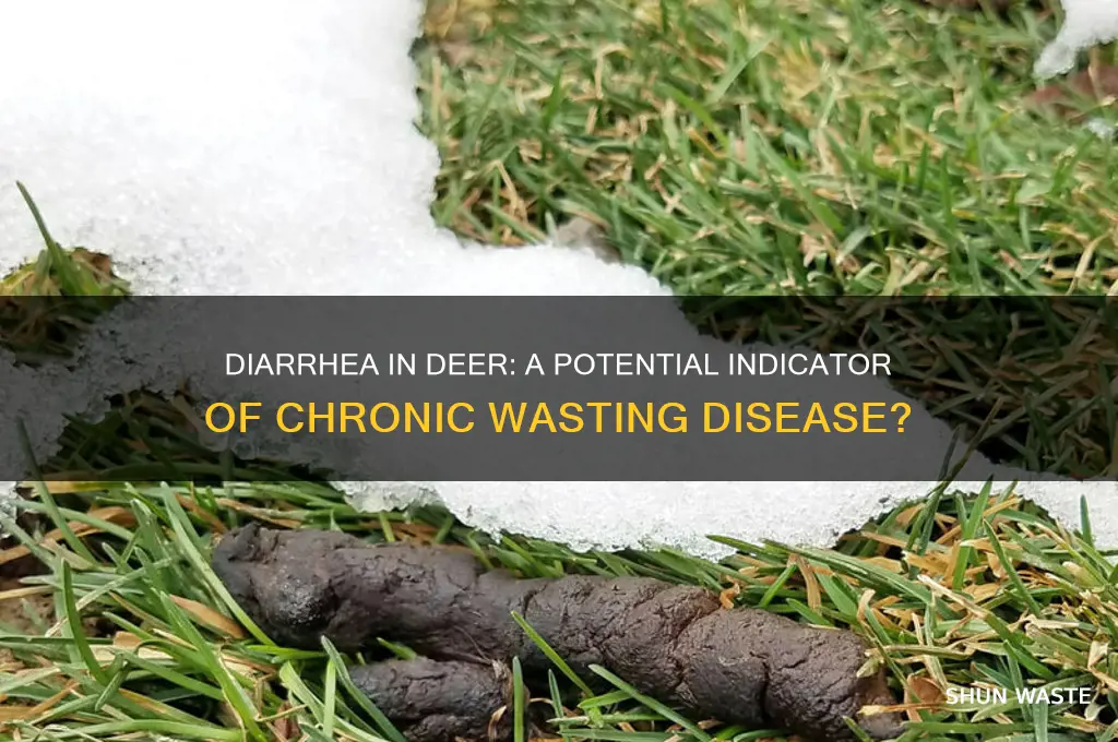 is diarrhea a sign of cronic wasting disease in deer