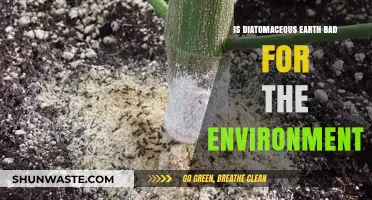 Diatomaceous Earth: Environmental Impact and Eco-Friendly Considerations