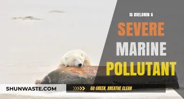 Dieldrin's Marine Pollution: Understanding Its Severe Impact