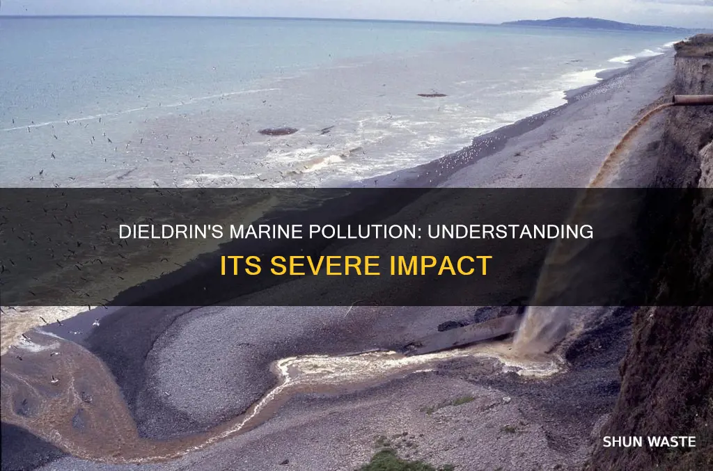 is dieldrin a severe marine pollutant