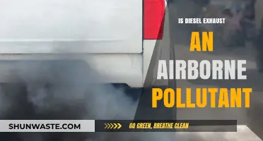 Diesel Exhaust: An Overlooked Airborne Pollutant?