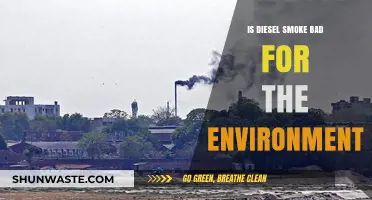 Diesel Smoke's Environmental Impact: Harmful Emissions and Their Consequences