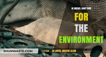 Diesel Soot's Environmental Impact: Harmful Effects and Sustainable Solutions