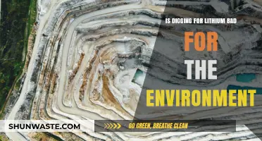 Lithium Mining's Environmental Impact: Sustainable or Destructive Practice?